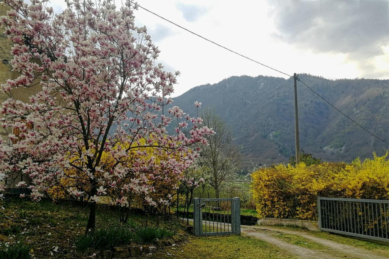 Maso Daue Villa Marter Buitenkant foto