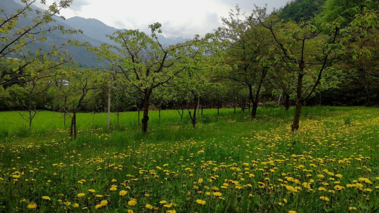 Maso Daue Villa Marter Buitenkant foto
